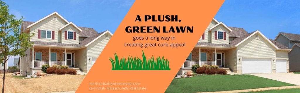 A green lawn creates good curb appeal.  Comparison of burned out lawn and green lawn