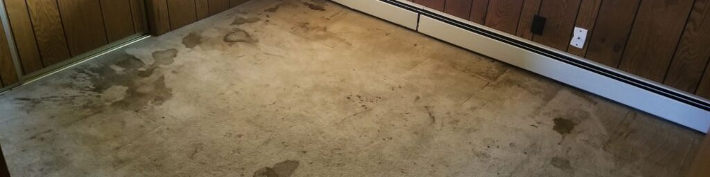 Dirty carpets are a major homebuyer turnoff