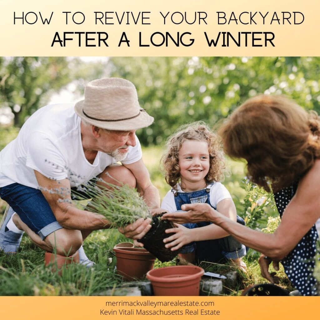 revive your backyard after winter- Tewksbury MA Real Estate