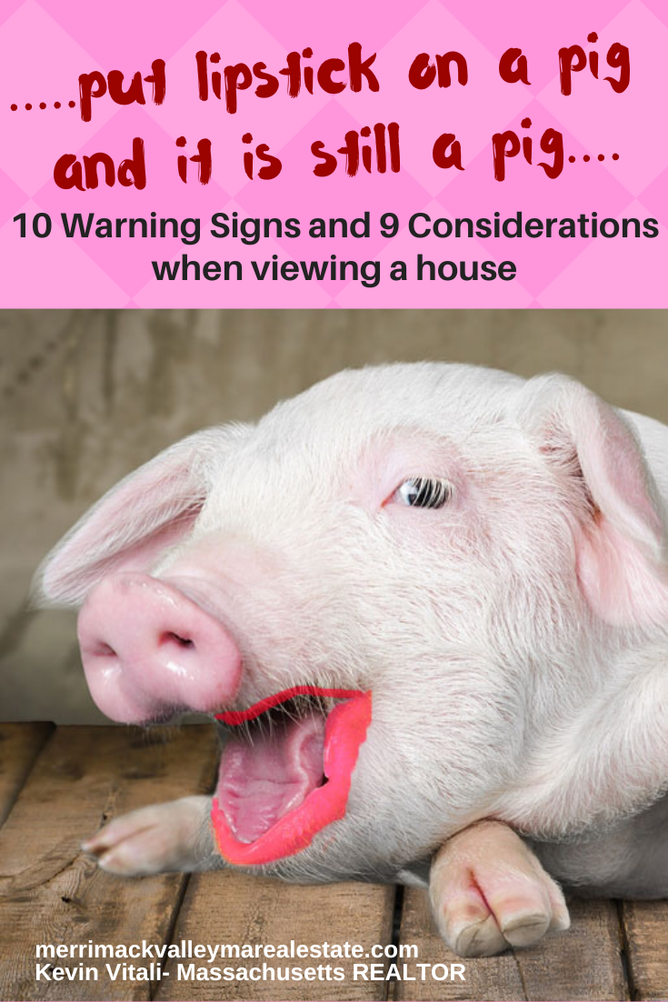 Viewing a house- is it just a pig with lipstick